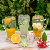 Coffee Toffee - Non Coffee Drinks - Fruit Punch Italian Soda