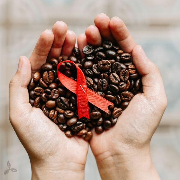 Coffee Toffee - Biji Kopi dari Hati